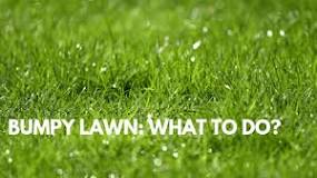 How do you smooth a bumpy lawn?
