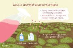 How does Dawn get rid of moss?