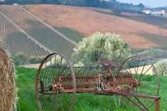 How does an antique hay rake work?
