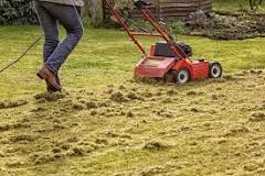 What are the steps for dethatching a lawn?