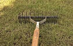 Is a lawn rake the same as a scarifier?