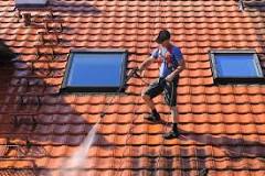 Is roof Washing a good idea?