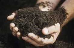 Is topsoil better than dirt?