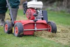 Should I mow my lawn before scarifying?