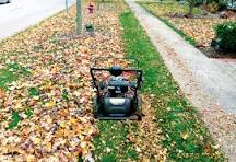 Should I mow my leaves or rake them?