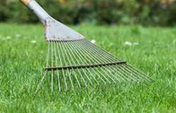 Should grass cuttings be left on lawn?