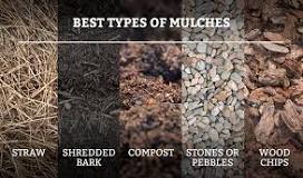 Should you rake mulch?
