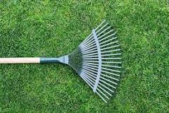 What are different kinds of rakes?