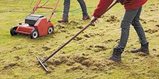 What are the benefits of dethatching a lawn?