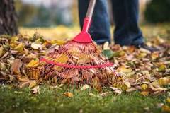 Is it better to rake or leave leaves?
