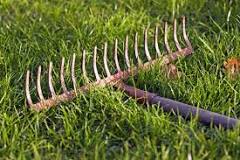 What are the metal rakes called?