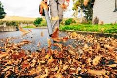 What are the top 5 leaf blowers?