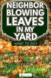 What can I do about my neighbor blowing leaves in my yard?