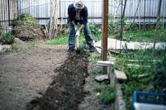 What do you do before tilling the soil?