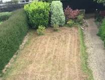 What does grass look like after scarifying?