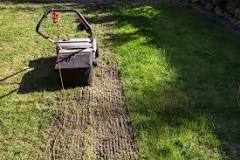What happens when you dethatch your lawn?
