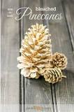 What happens when you pour bleach over pine cones?