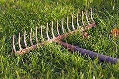 What is a small gardening rake called?