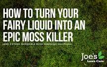 What is dish soap for killing moss?