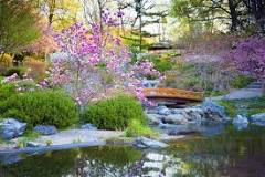 What is in a traditional Japanese garden?