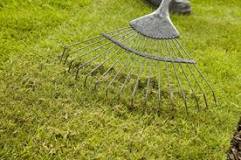 What is lawn scarify?