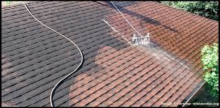 What is the best time of year to clean roof?