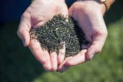 What is the black stuff in artificial grass?