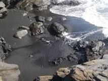 What is the black stuff that washes up on the beach?