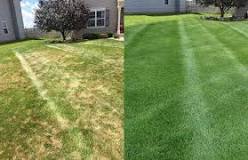 What is the difference between Verticutting and scarifying?