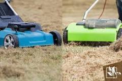 What is the difference between dethatching and scarifying?