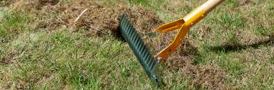 What is the difference between raking and scarifying a lawn?