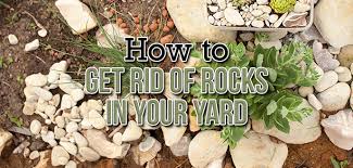 What is the easiest way to get rid of rocks in your yard?