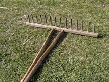 How do you survive a rake?