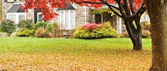 Is mulching leaves better than raking?