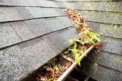 What is the most common problem with gutters?