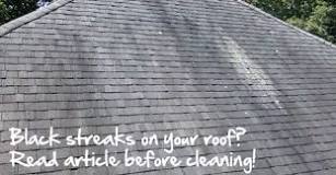 What is the safest way to clean roof?