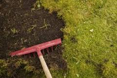 Does power raking get rid of moss?