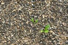 What to put under gravel to prevent weeds?