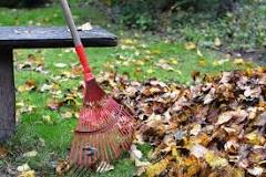 What to use for raking leaves?