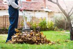 What type of rake is best for leaves?