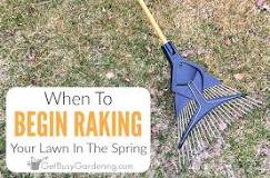 When should you rake grass in spring?