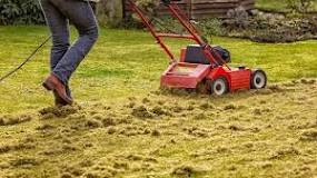 When should you scarify and rake the lawn?