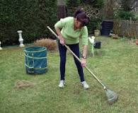 When should you scarify your lawn?