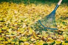 Which is better plastic or metal rake for leaves?