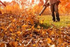 How do you speed up decomposing leaves?