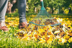 Can you rake grass with a landscape rake?