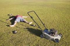 Why Mowing the lawn is bad for you?