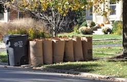 Why do people use paper bags for leaves?