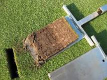 Why do you sand your lawn for leveling?
