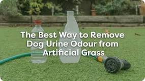 Why does my artificial grass smells of dog urine?